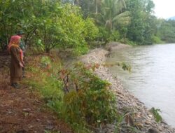 Camat tanalili melihat kondisi sungai bungadidi