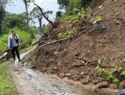 IKATAN PEMUDA SIMBUANG MAPPAK (IPSIM) SESALI KINERJA PEMDA TATOR YANG SEMAKIN MENUTUP MATA KE SIMBUANG MAPPAK