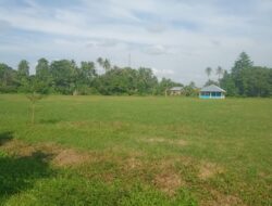 Kades Banyuurip Bakal Tanami jagung Lapangan Sepak Bola Lantaran Warga Tidak Bayar Iuran