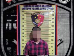 Terduga Pelaku KDRT di Luwu Utara Ditangkap, Polisi Pastikan Proses Hukum Berjalan Adil