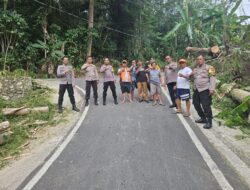 Polres Tator Gerak cepat Bersihkan Pohon tumbang Yang Menutupi Jalan Diburake