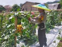 Kenakan Caping Khas Petani, Aipda Odo Obeth Ajak Warga Desa Kalotok Dukung Ketahanan Pangan dan Jaga Kondusifitas Jelang Pilkada