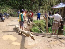 Tidak Mendapat Perhatian Pemerintah, Masyarakat Bergotong Royong Benahi Jembatan Penghubung Simbuang-Mappak Tana Toraja