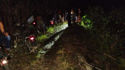 Pencurian Buah Coklat di Kebun Warga, Polsek Sabbang Bergerak Cepat
