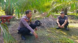 Bhabinkamtibmas Polsek Bone-Bone Laksanakan Sambang dan Penggalangan ke Petani Sawit di Desa Rampoang