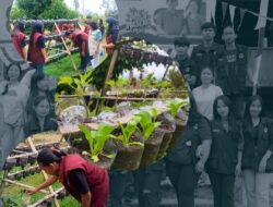 Mahasiswa KKN-T UKI Toraja Hadirkan Inovasi POC Bongkol Pisang dan Pestisida Nabati di Kelurahan Ariang