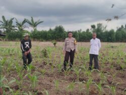 Soliditas TNI–Polri: Bhabinkamtibmas dan Babinsa Bersinergi Ajak Warga Cegah Konflik Sosial